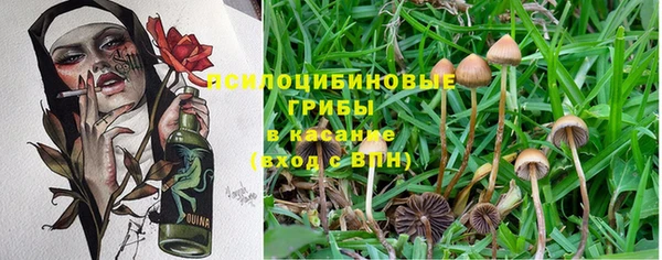 прущий лед Лагань