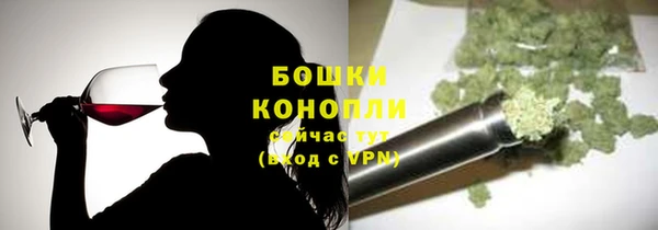 дмт Ладушкин