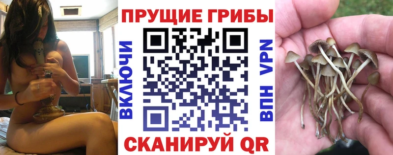 Купить закладки Петровск Псилоцибиновые грибы MAGIC MUSHROOMS